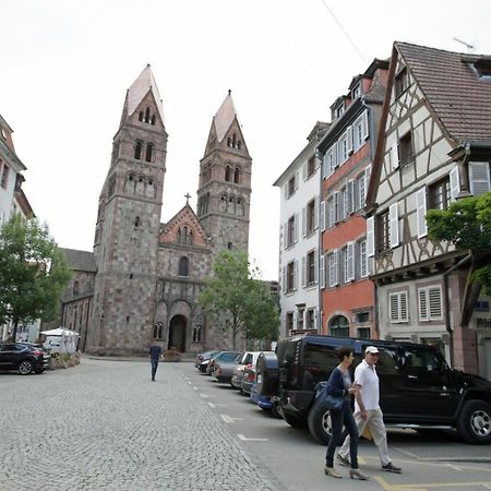 Gite Les Tourterelles Selestat - 30Min Europapark Exterior foto